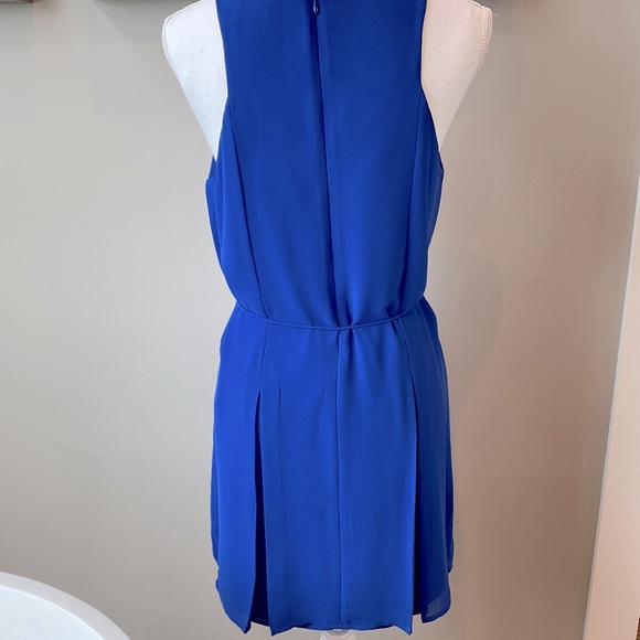 Naked Zebra Dress - Picture 2 of 5